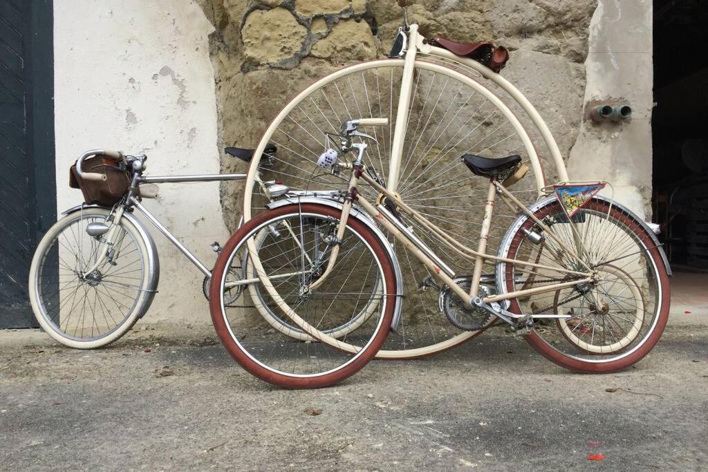 Tour De France Historique Et Chateaux De Loire Орлеан Екстер'єр фото